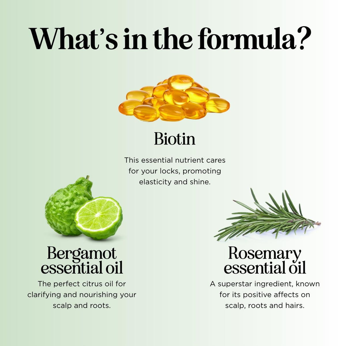 Maple Holistics Biotin Shampoo with rosemary and tea tree