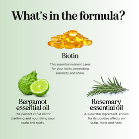 Maple Holistics Biotin Shampoo with rosemary and tea tree