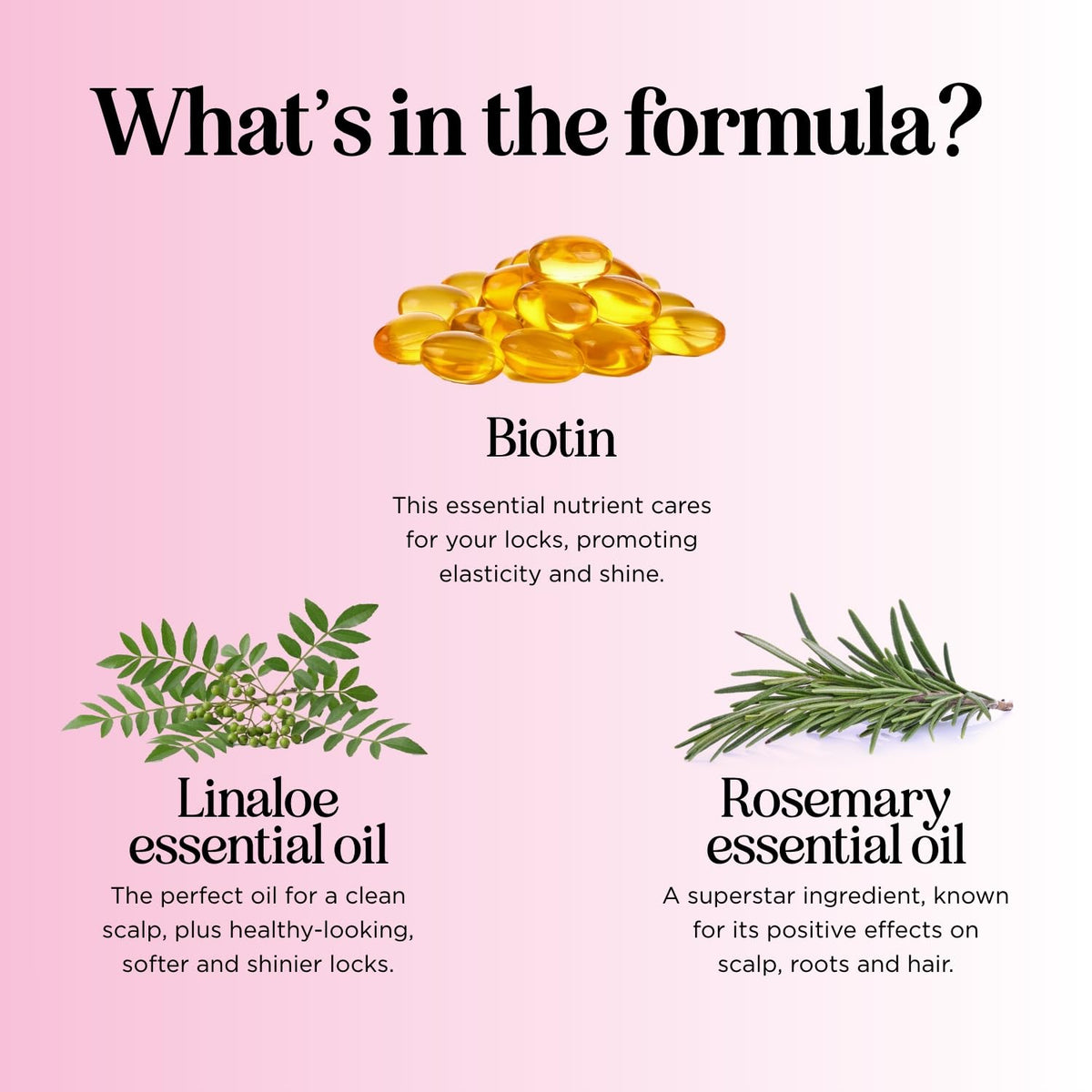 Maple Holistics Fruity Biotin Shampoo ingredients list