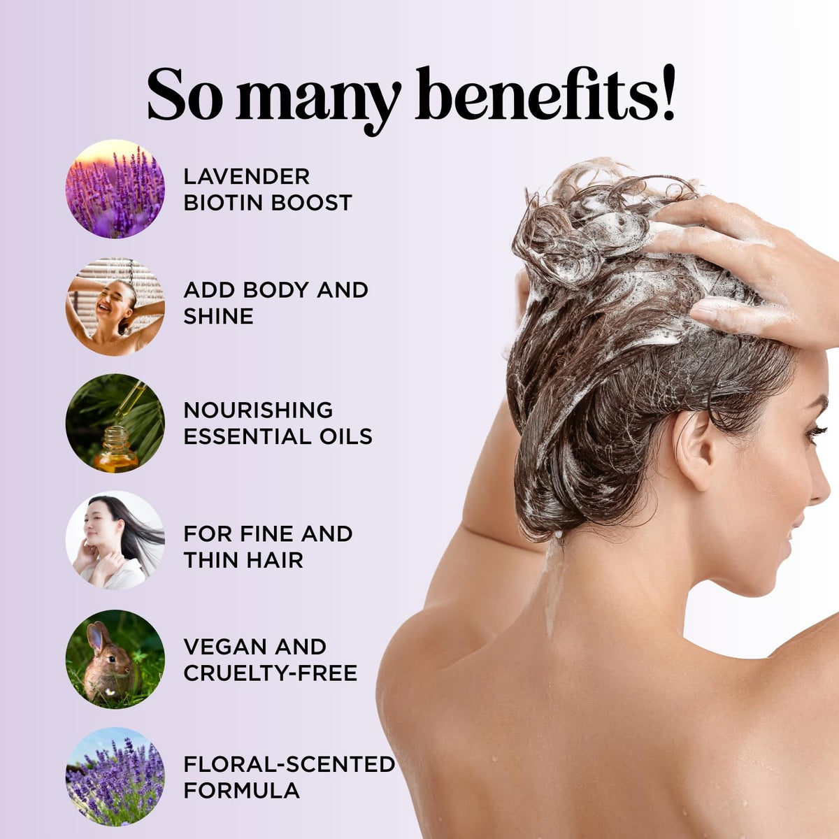 Maple Holistics Lavender Biotin Shampoo with natural oils