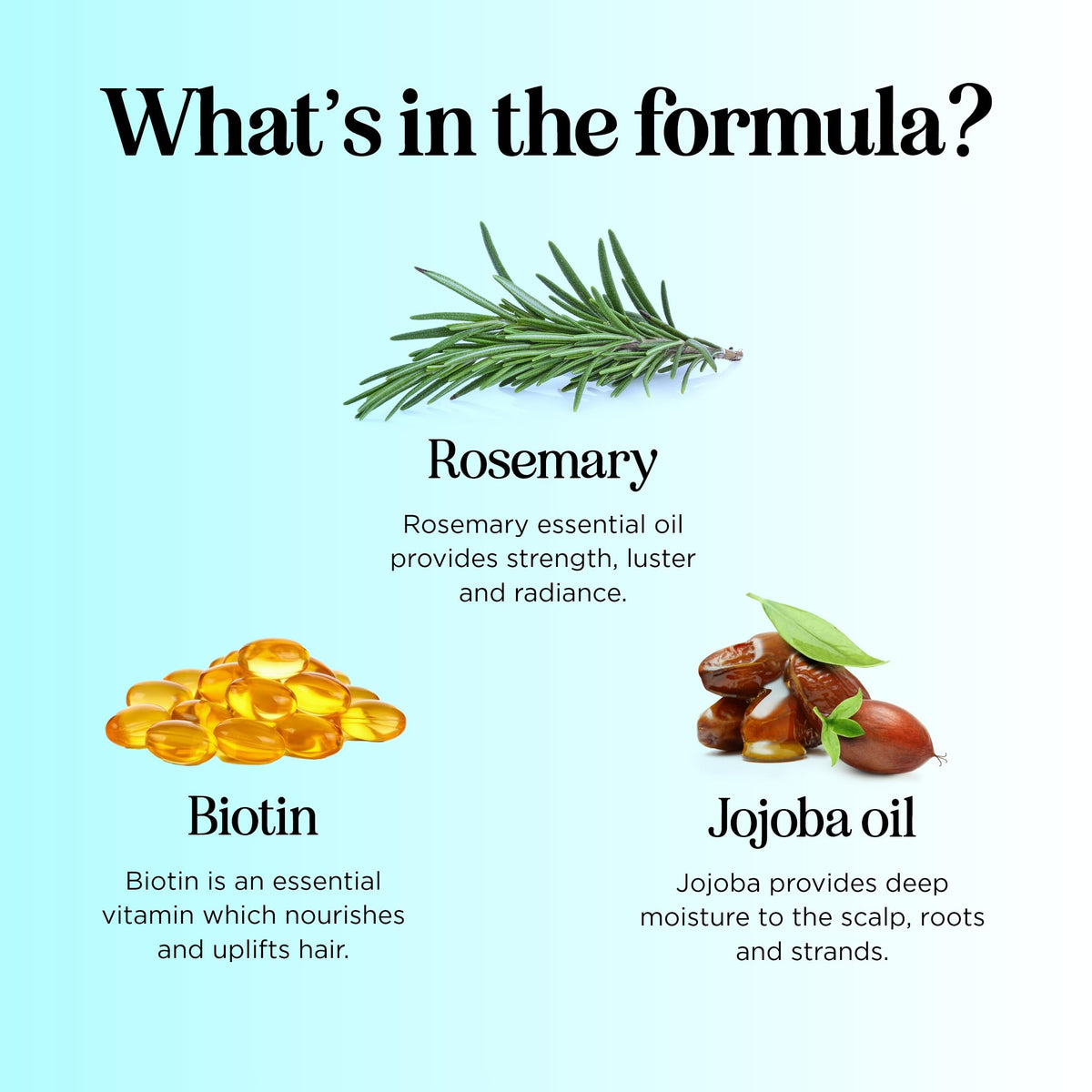 Maple Holistics Rosemary Biotin Conditioner back view