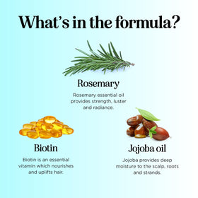 Maple Holistics Rosemary Biotin Conditioner back view