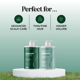 Maple Holistics shampoo and conditioner set on a bathroom shelf