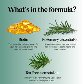 Maple Holistics shampoo and conditioner with rosemary and tea tree ingredients