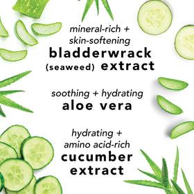 Mario Badescu Facial Spray 4 Fl Oz on a vanity with greenery