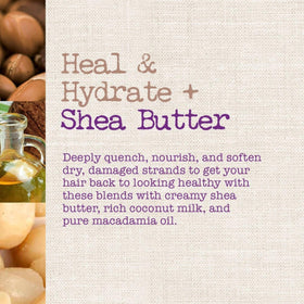 Maui Moisture Heal & Hydrate Shea Butter Conditioner front view