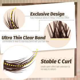 Mavphnee Brown Lash Clusters Kit packaging front view