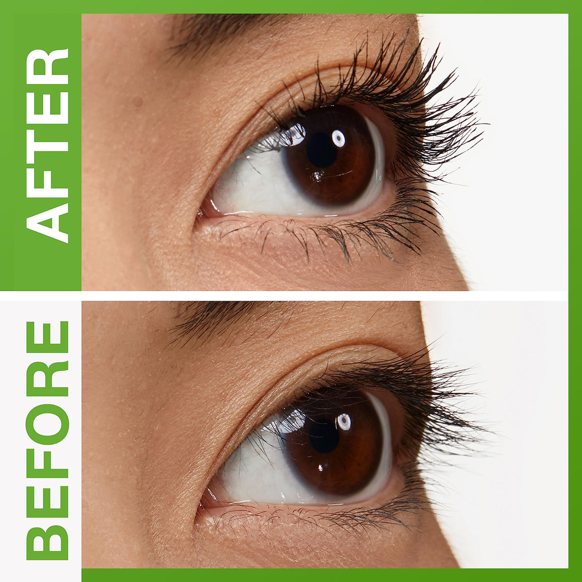 MAYBELLINE Define-A-Lash Lengthening Mascara Very Black brush close-up