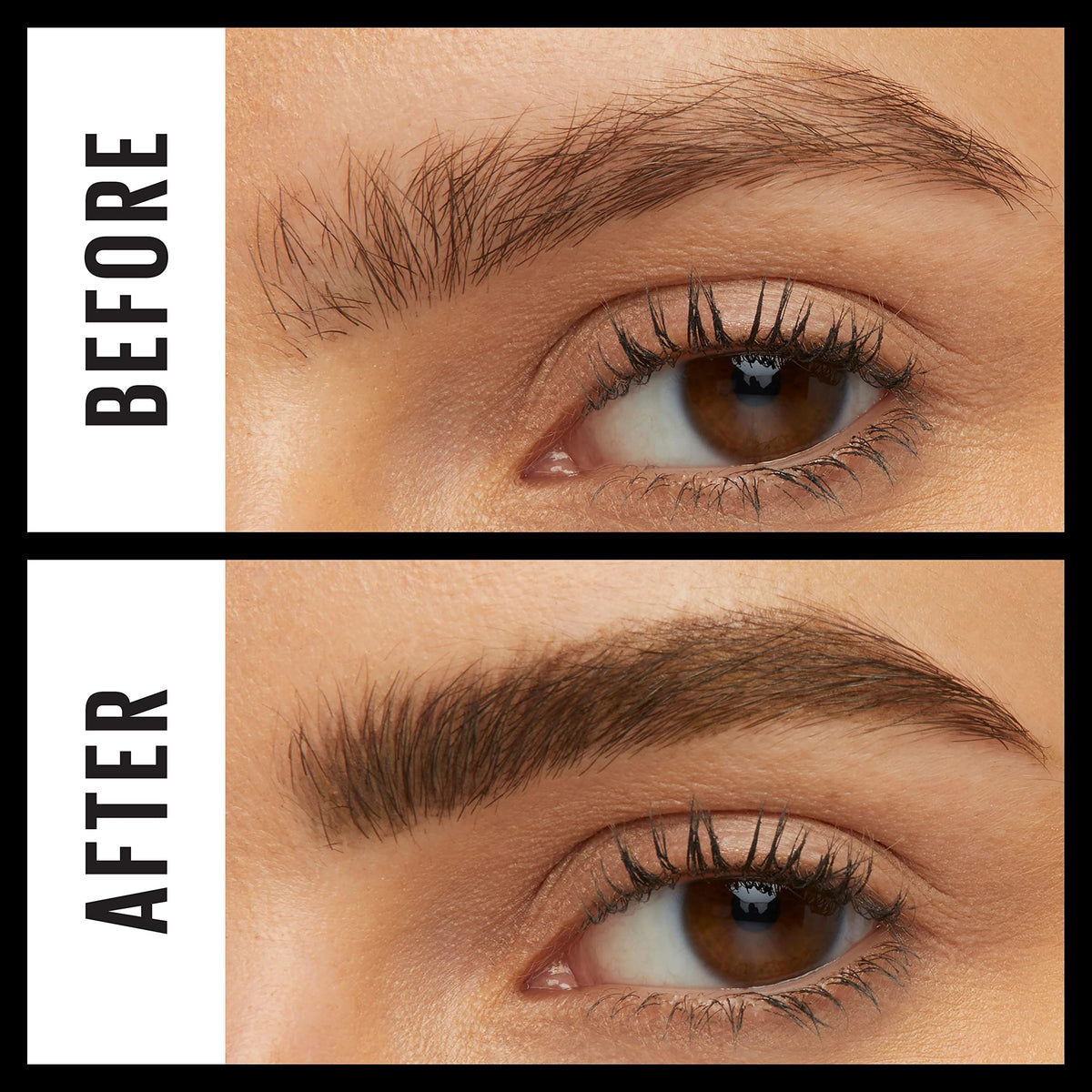 MAYBELLINE TattooStudio Brow Tint Pen packaging
