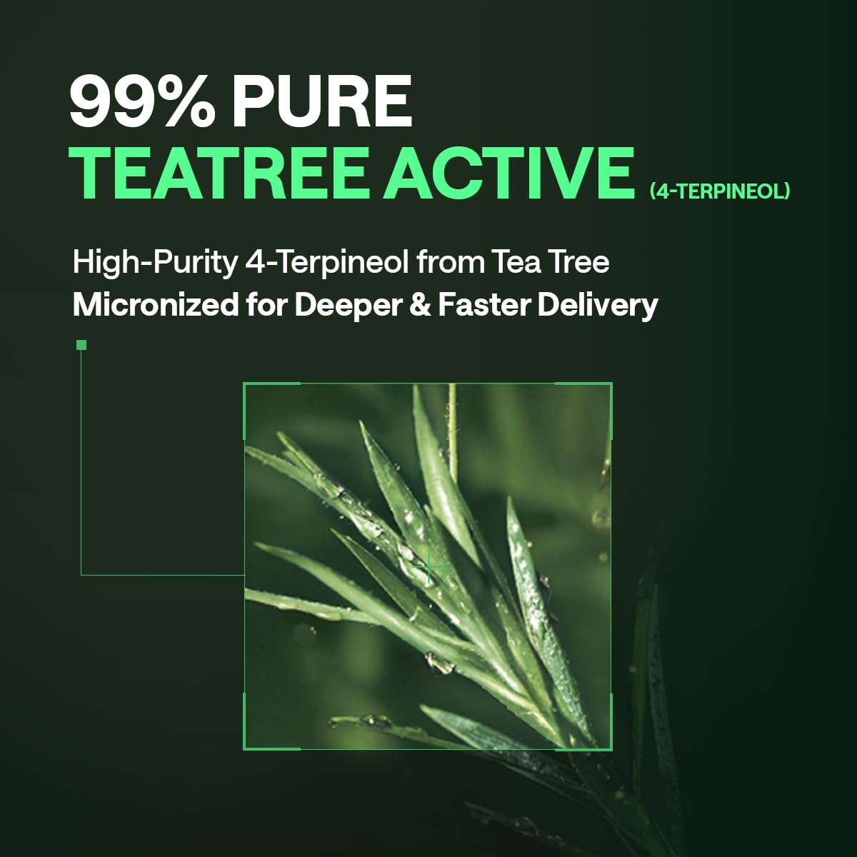 MEDIHEAL Teatree toner pad being used on skin