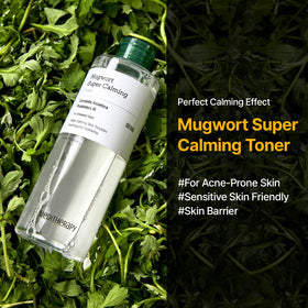 MEDITHERAPY Mugwort Super Calming Toner bottle with cap