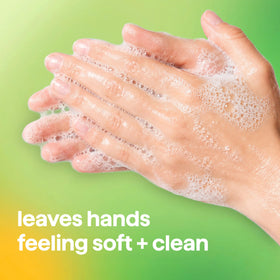 Method Foaming Hand Wash Green Tea + Aloe back view