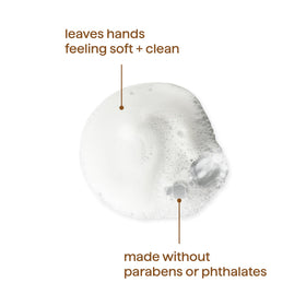 Method Foaming Hand Wash Lemon Mint 10 fl oz with pump