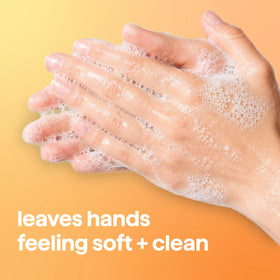 Method Foaming Hand Wash Sandalwood + Cedar 10 fl oz back view