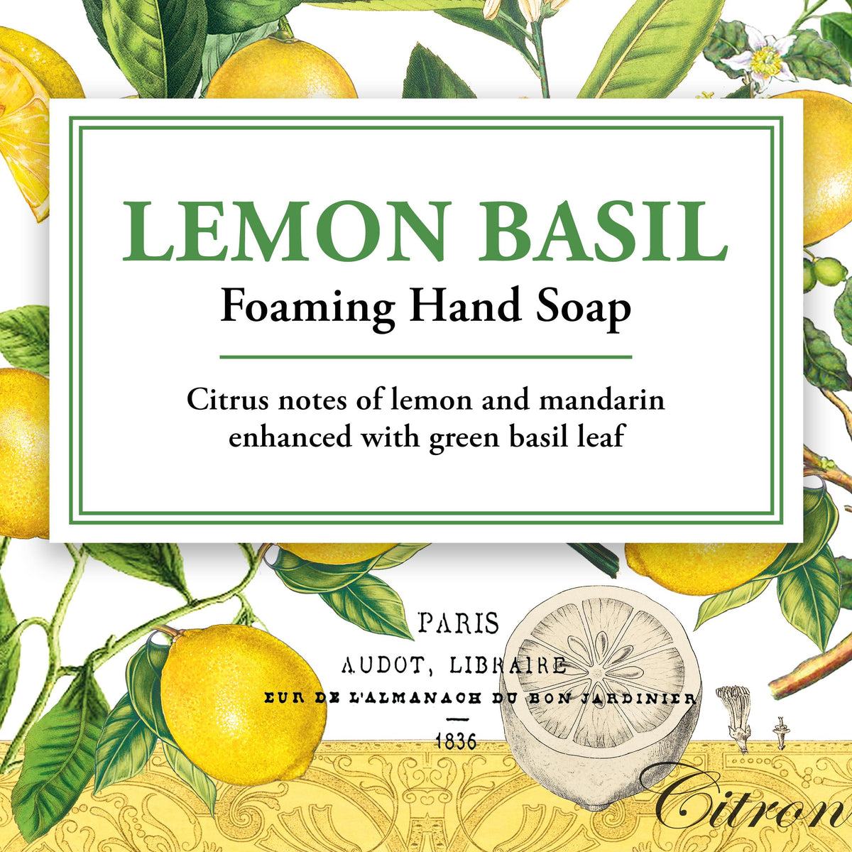 Michel Design Works Lemon Basil Foaming Hand Soap elegant packaging