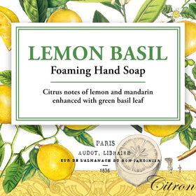 Michel Design Works Lemon Basil Foaming Hand Soap elegant packaging