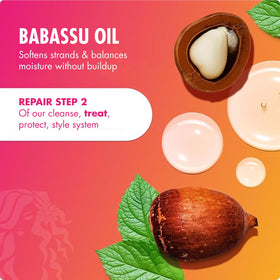 Mielle Organics Babassu & Mint Deep Conditioner application on hair
