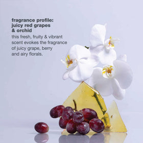 milk_shake Icy Blond Shampoo back label details