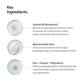 Minimalist Panthenol Face Moisturizer 10% ingredients list