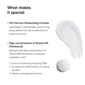 Minimalist Panthenol Face Moisturizer 10% with background elements