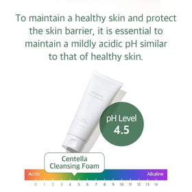 mixsoon Centella Cleansing Foam key ingredients list