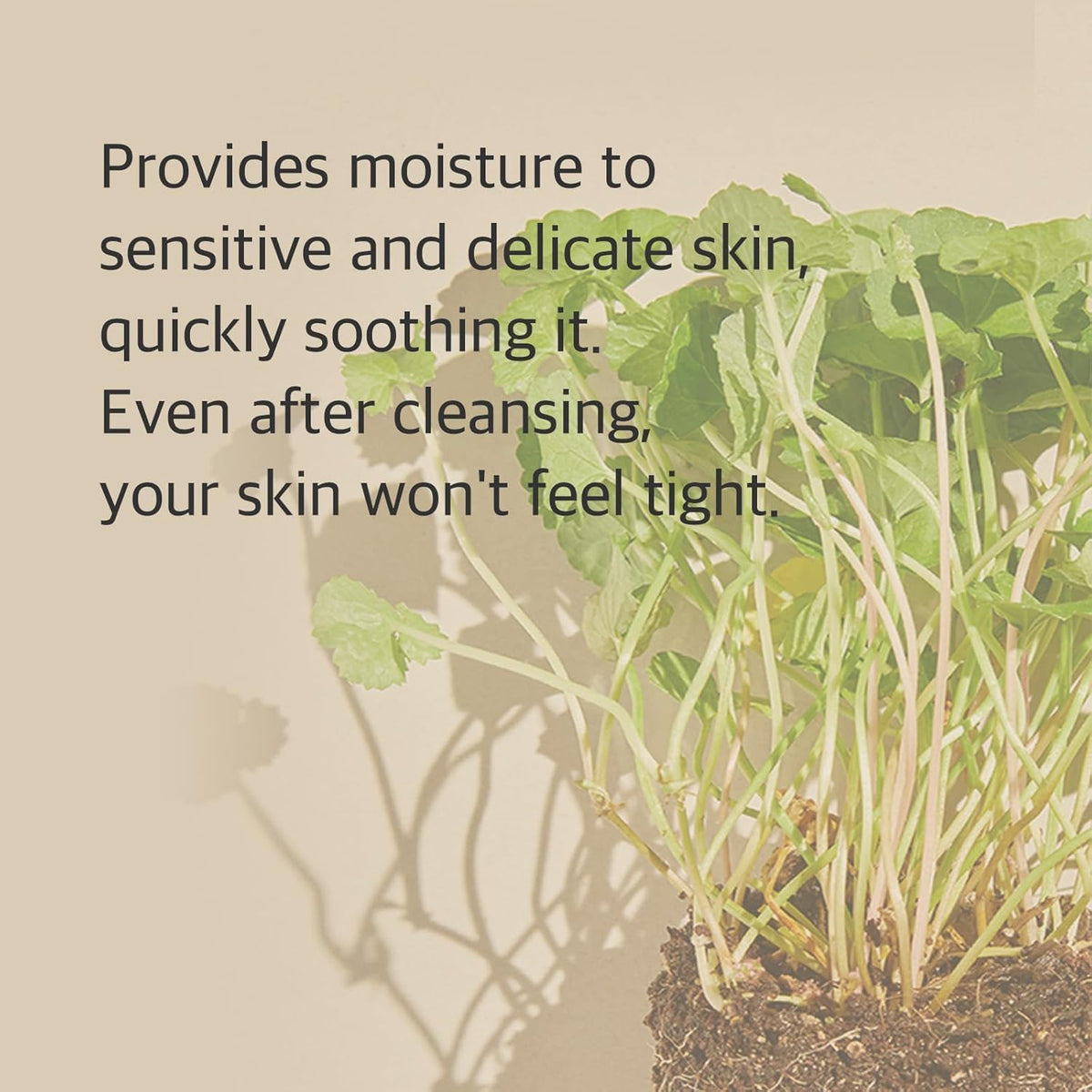 mixsoon Centella Cleansing Foam lather demonstration