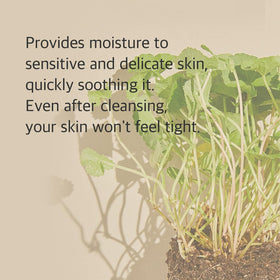 mixsoon Centella Cleansing Foam lather demonstration