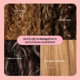 MONDAY HAIRCARE Repair Shampoo and Conditioner Set with awards displayed