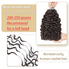 MORGENSTAR Burmese Curly Crochet Hair 16 Inch displayed on a hair rack