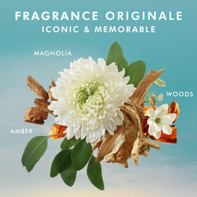 Moroccanoil Hair Oil & Hand Wash Gift Set packaging