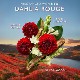 Moroccanoil Shower Gel Dahlia Rouge with floral background