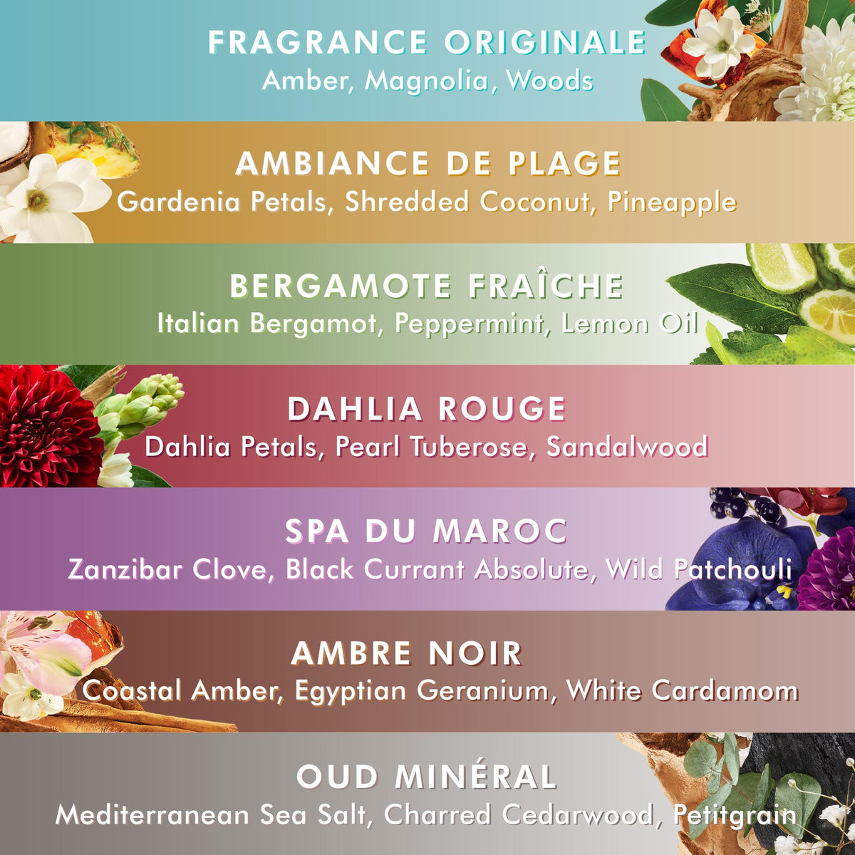 Moroccanoil Shower Gel label detail