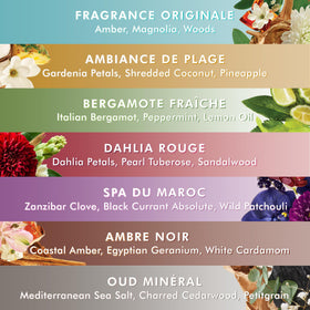 Moroccanoil Shower Gel label detail