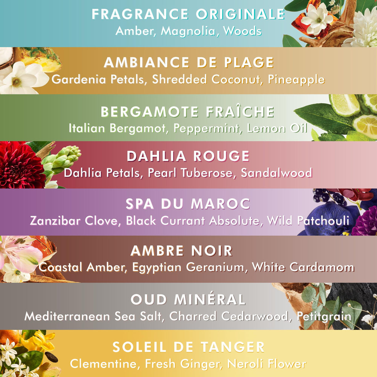 Moroccanoil Shower Gel Soleil De Tanger bottle cap view