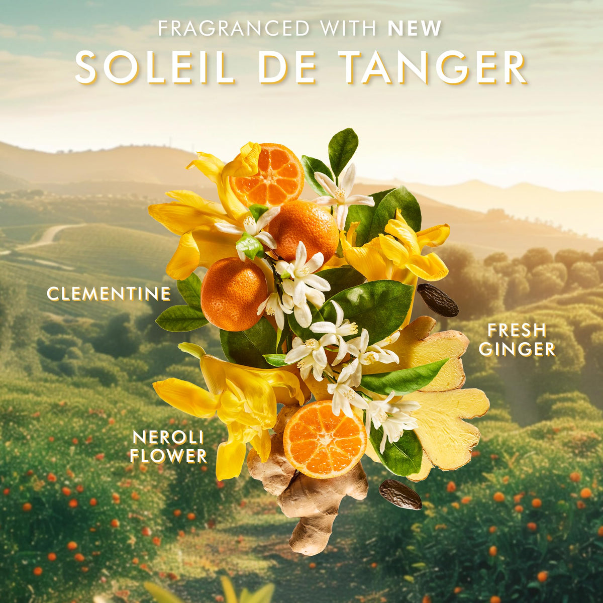 Moroccanoil Shower Gel Soleil De Tanger in a shower setting