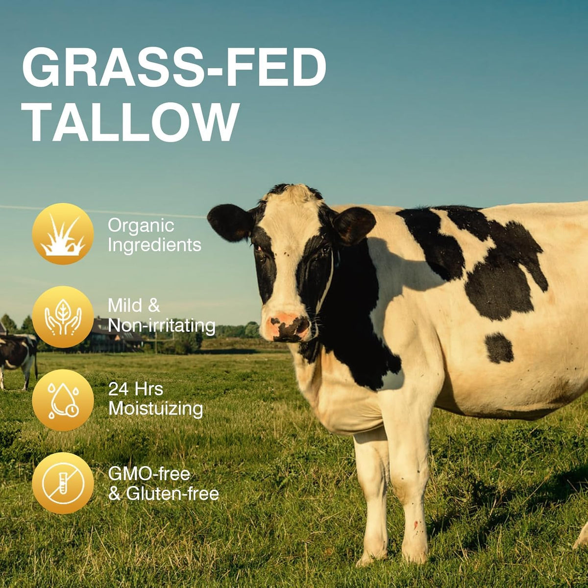 MROUVIK Beef Tallow for Skin application on hands