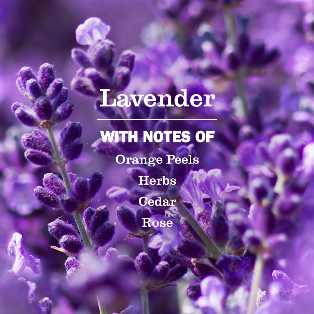 Mrs. MEYER'S Clean Day Hand Soap Lavender 3 pack packaging