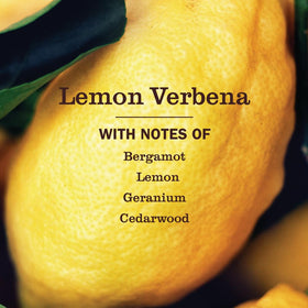 Mrs. MEYER'S Clean Day Hand Soap Lemon Verbena bottle side view