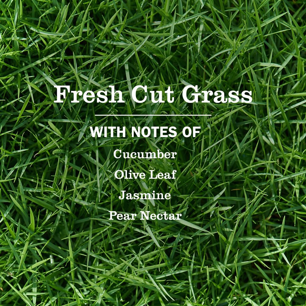 Mrs. MEYER'S Liquid Hand Soap Fresh Cut Grass 3 pack packaging