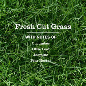 Mrs. MEYER'S Liquid Hand Soap Fresh Cut Grass 3 pack packaging