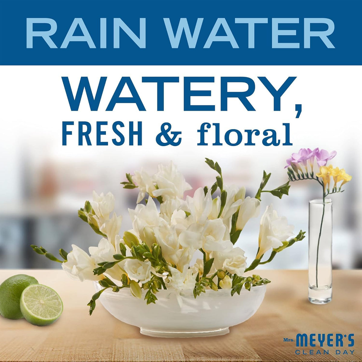 Mrs. MEYER'S Liquid Hand Soap Rainwater Scent with fresh rain imagery
