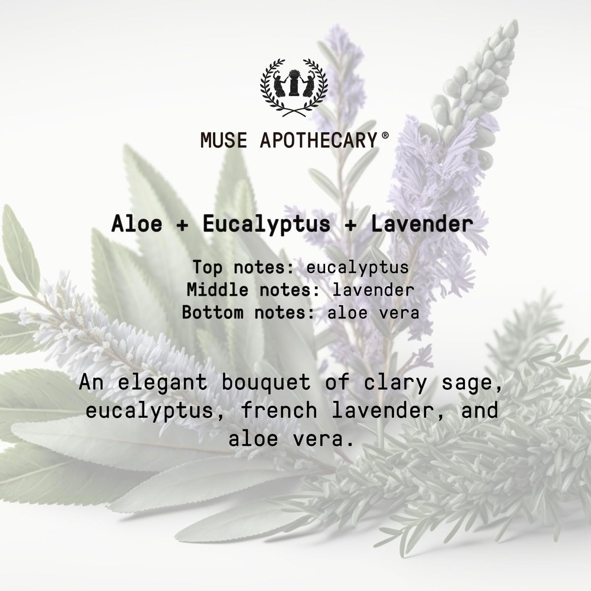 Muse Apothecary Hand Ritual foaming hand soap with natural ingredients