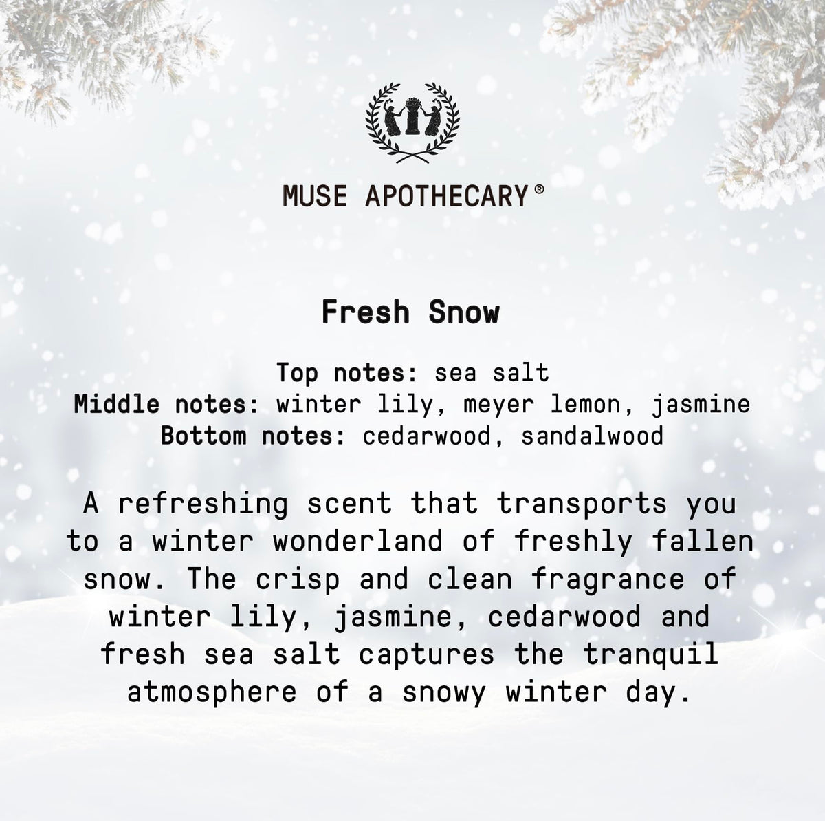 Muse Apothecary Hand Ritual Hand Soap 16 oz Fresh Snow lifestyle scene