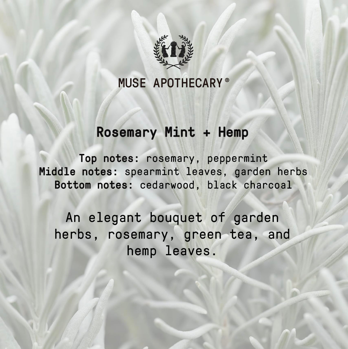 Muse Apothecary Hand Ritual Hand Soap ingredients list
