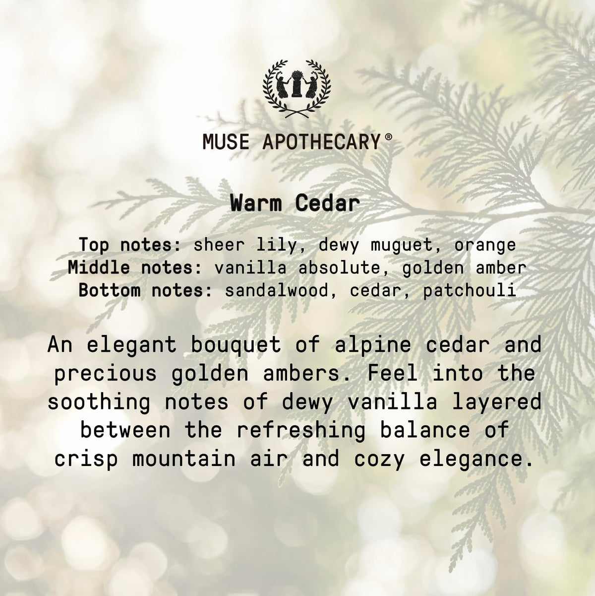 Muse Apothecary Hand Ritual Warm Cedar lifestyle scene