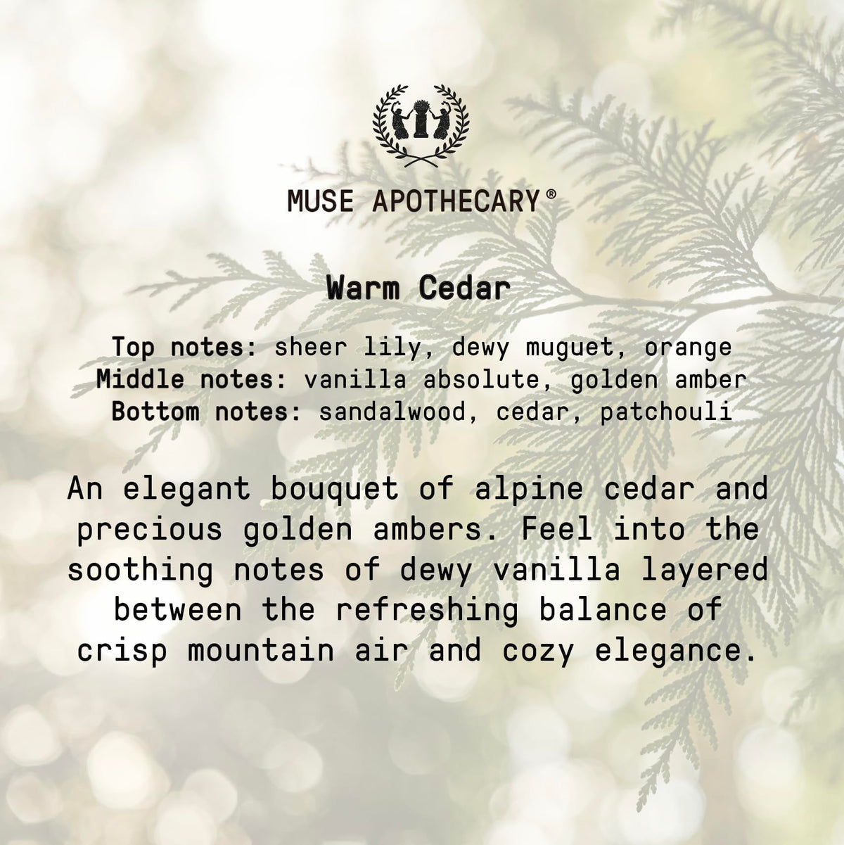 Muse Apothecary Hand Ritual Warm Cedar lifestyle scene