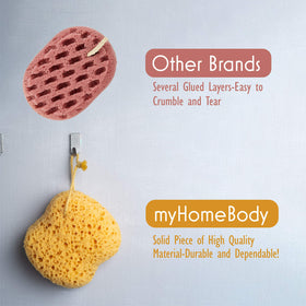 myHomeBody Bath Sponge displayed with other bathing accessories