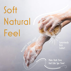 myHomeBody Bath Sponge held in hand for size reference