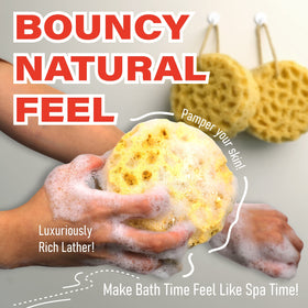 myHomeBody Bath Sponge in a bath setting