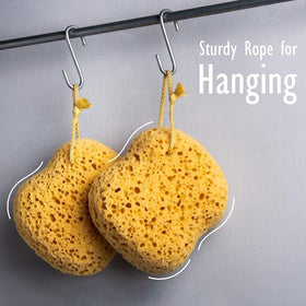 myHomeBody Bath Sponge in shower setting
